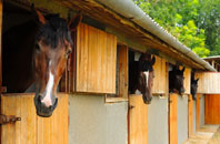 free Nant Y Pandy stable construction quotes